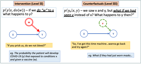 Visual depiction of Levels II and III of the Causal Hierarchy as graphical models.